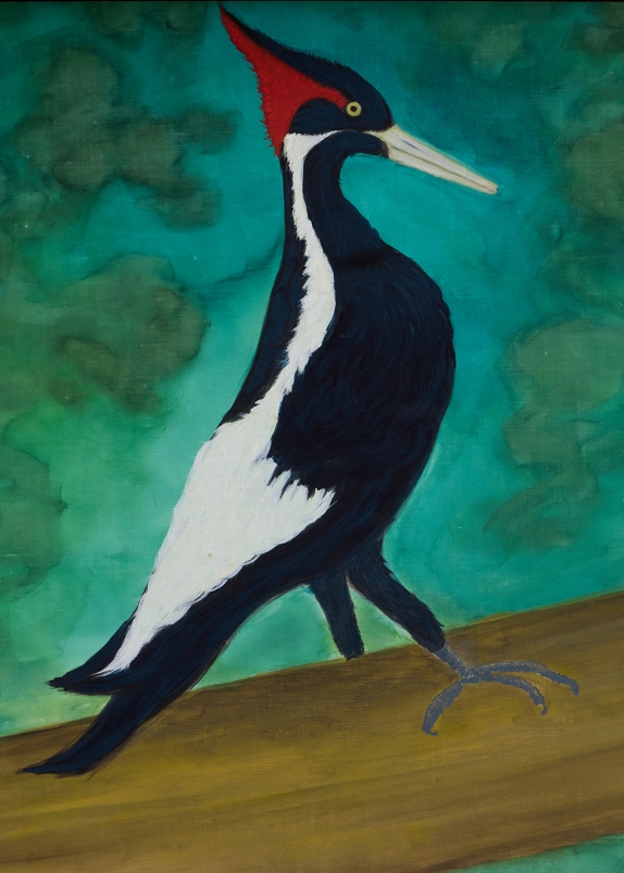 https://www.stanyakahn.com/files/gimgs/th-54_Kahn_436_Ivory-BilledWoodpecker(Endangered)_Detail_lores.jpg